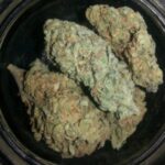 Obama Kush