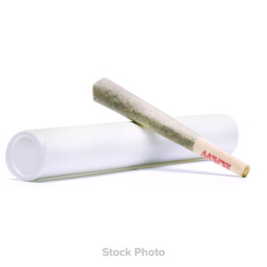 Zizzle Red Velvet 3-Pack